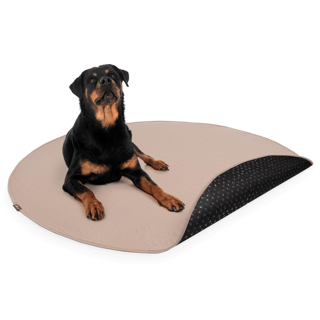 Paw Inspired Round Washable Pee Pads for Dogs | Reusable Puppy Pads | Waterproof Whelping Pads | Washable Training Pet Pads Washable Potty Pads Extra Large Sizes (60" (1 Pack))